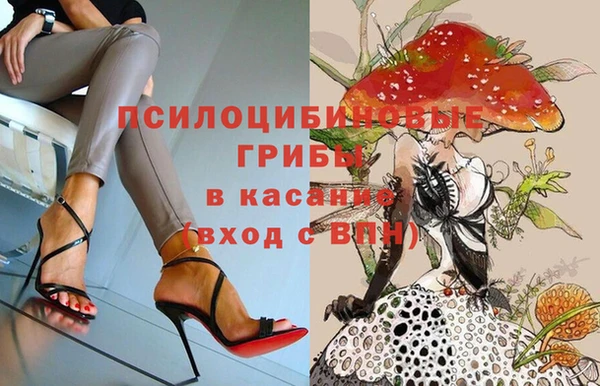 эйфоретик Нефтегорск